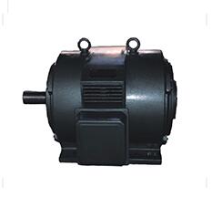 YTS提升機(jī)專用變頻調(diào)速三相異步電動機(jī)